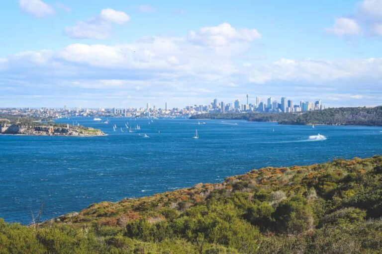 Sydney: Private Half or Full-Day Sightseeing Tour - Who Should Consider This Tour?