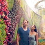 Sydney Private Tour & Pick up & Drop off - An In-Depth Look at the Sydney Private Tour