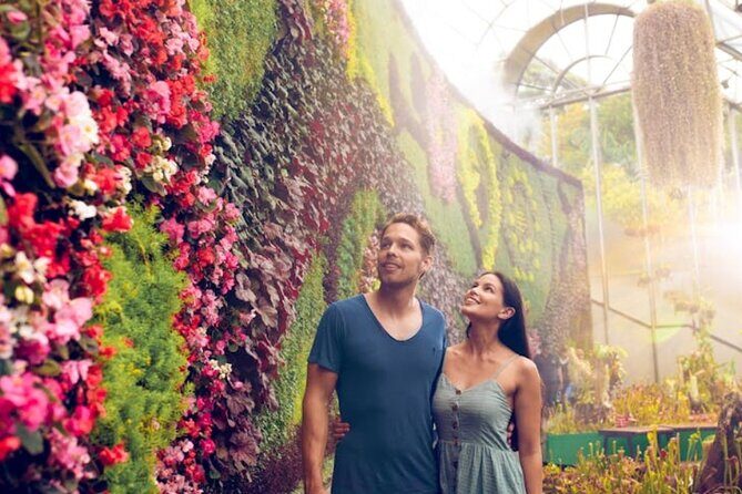 Sydney Private Tour & Pick up & Drop off - An In-Depth Look at the Sydney Private Tour