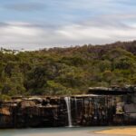 Sydney: Royal National Park tour with picnic - Who Will Enjoy This Tour?