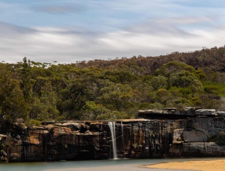Sydney: Royal National Park tour with picnic - Who Will Enjoy This Tour?