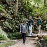 Sydney: Small Group Blue Mountains, Wildlife & Waterfalls - The Value of This Tour