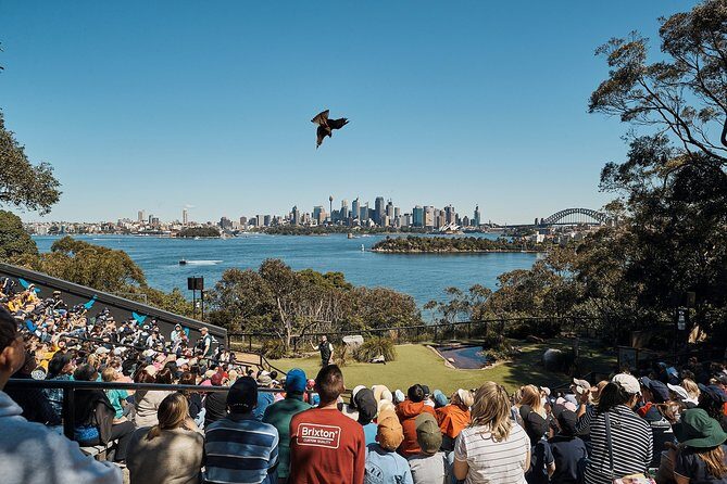Sydney Taronga Zoo's Aussie Backyard Adventure Tour - Who Will Love This Tour?