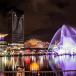 Sydney: Vivid Festival of Light Harbor Cruise with Dinner - Key Points