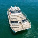 Sydney: Whale Watching Adventure Cruise - What You Can Expect from the Experience