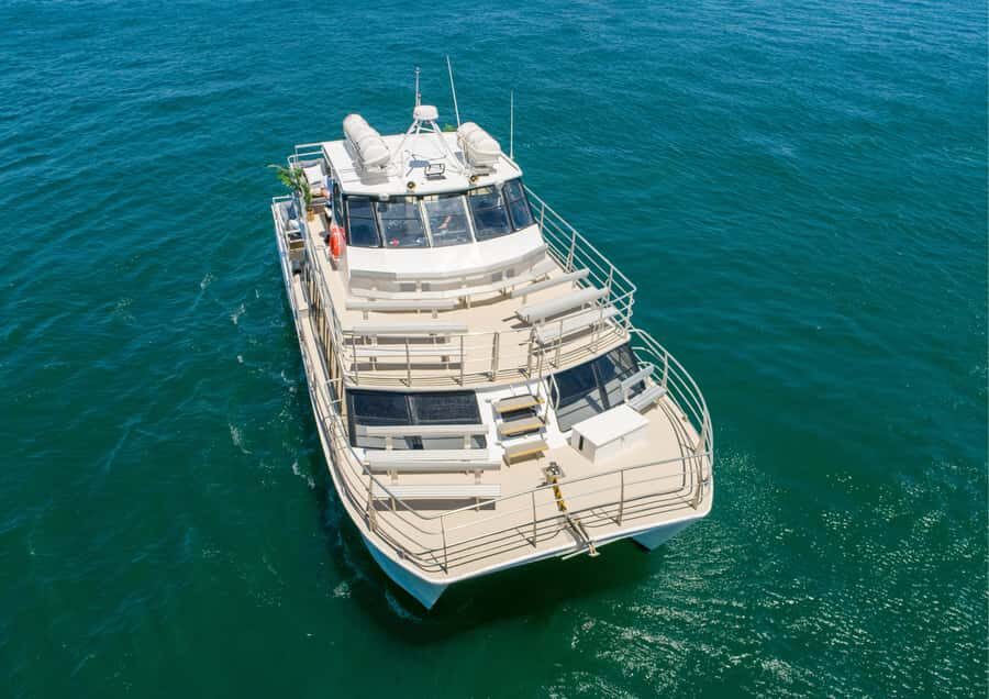 Sydney: Whale Watching Adventure Cruise - What You Can Expect from the Experience