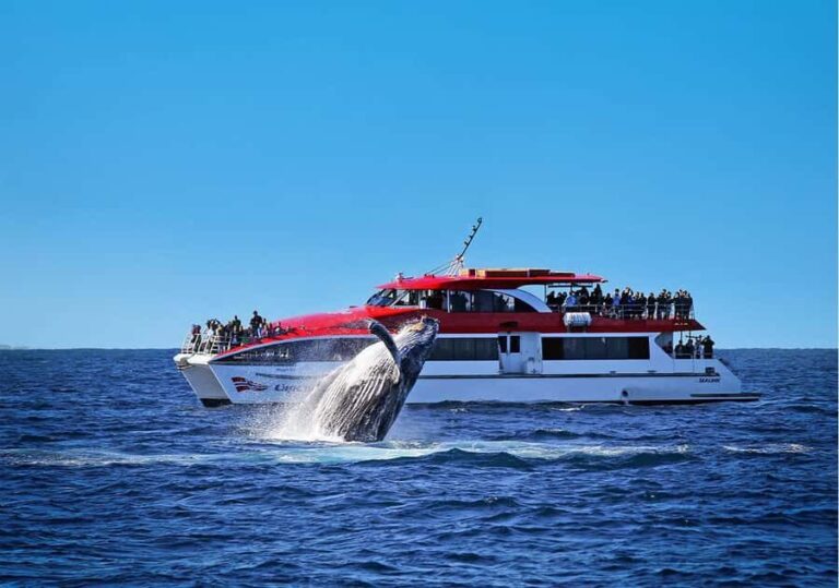 Sydney: Whale Watching & Hop On Hop Off Cruise Package - Why This Tour Provides Great Value