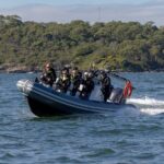 Sydney Whale Watching on Small RIB - What Makes This Tour Stand Out