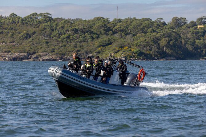 Sydney Whale Watching on Small RIB - What Makes This Tour Stand Out
