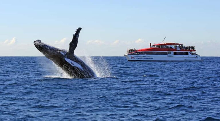 Sydney: Whale Watching & Wildlife Cruise - Deep Dive into the Itinerary and Experience