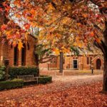 Sydney Wine Tasting & Southern Highlands with Pick up & drop off - Authentic Experiences and Traveler Feedback