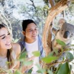 Sydney Zoo General Entry Admission Ticket - Final Thoughts: Is Sydney Zoo Worth Visiting?