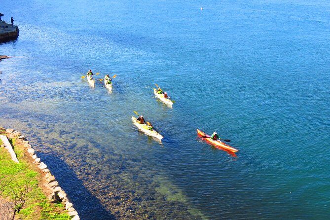 Sydney's Middle Harbour Sea Kayaking Eco Tour (Fully Guided) - Exploring the Tour in Detail