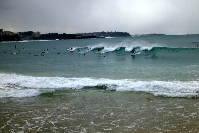 Sydney's Northern Beaches - Paradise in a city - Who Will Love This Tour?