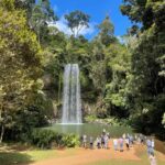 Tablelands Sights & Daintree Rainforest (2 Day Tours) - Transport and Group Size