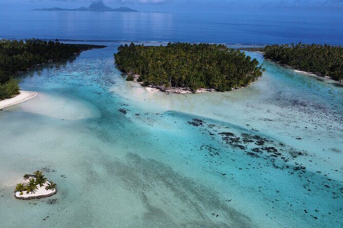 Tahaa Excursion in Electric Paddle Snorkeling Coral Garden - Final Thoughts