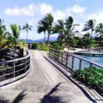 Tahiti Fautaua Valley and Big Waterfall Private Hiking Tour - Authentic Experiences and Traveler Feedback