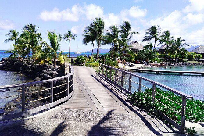 Tahiti Fautaua Valley and Big Waterfall Private Hiking Tour - Authentic Experiences and Traveler Feedback