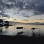 Tahiti: Northeast Coast Waterfalls&Viewpoints Half Day Tour - A Deep Dive into the Experience