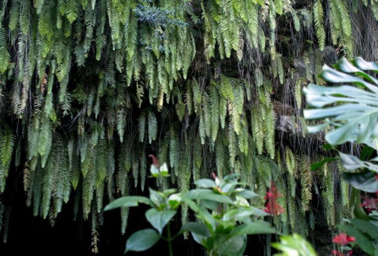 Tahiti: Private Half Day Culture and Nature Highlights Tour - Why This Tour Offers Great Value