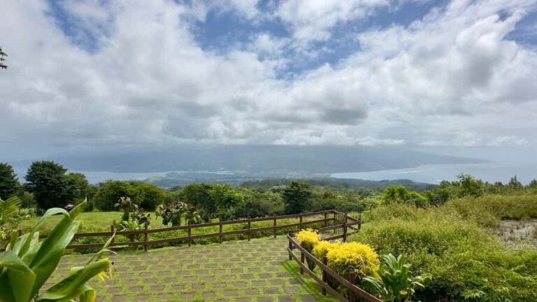 Tahiti : Tour de lîle Côte Est et Côte Ouest (Full Day) - Practical Details & What You’ll Get