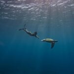Tahiti Underwater Photo Experience - Who Should Consider This Experience