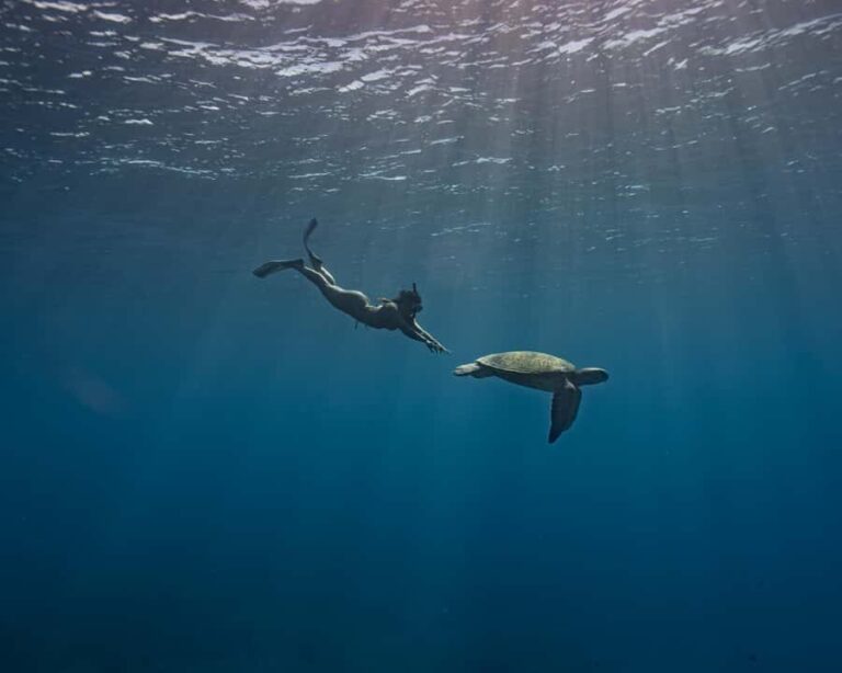 Tahiti Underwater Photo Experience - Who Should Consider This Experience