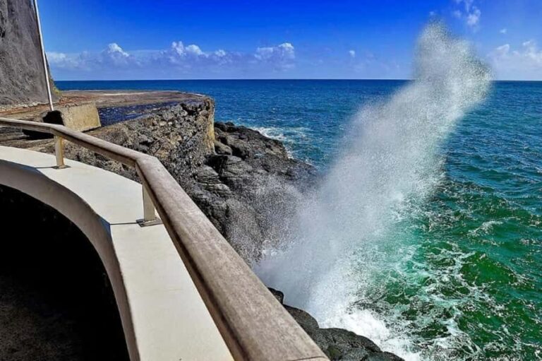 Tahiti: West and East Coast Island Tour with Waterfalls - The Practical Side: Transportation, Price, and Pacing