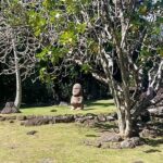 Tahiti's West Coast Private 4 hour Tour with Lydia, - Frequently Asked Questions