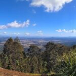Tamborine Mountain and Paradise Point Tour from Brisbane - Itinerary Breakdown: What You’ll Likely Experience