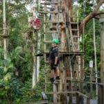 Tamborine Mountain: TreeTop Challenge Adrenaline Pass - Why This Tour Works Well
