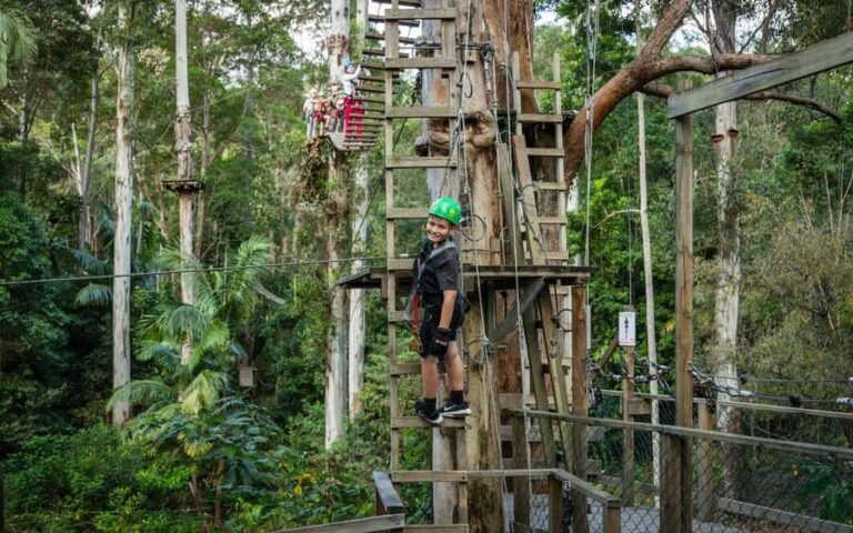 Tamborine Mountain: TreeTop Challenge Adrenaline Pass - Why This Tour Works Well