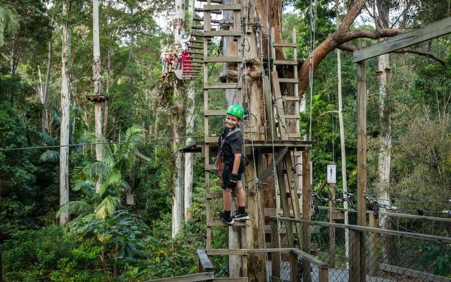 Tamborine Mountain: TreeTop Challenge Adrenaline Pass - Why This Tour Works Well