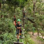 Tamborine Mountain TreeTop Challenge Adventure Park - Analyzing the Value