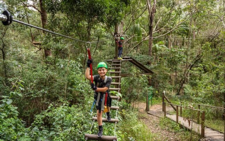 Tamborine Mountain: TreeTop Challenge Adventure Park - The Practical Side: Logistics and Tips