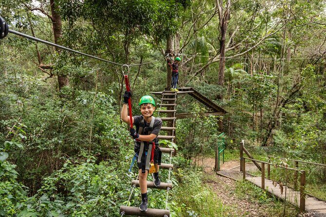 Tamborine Mountain TreeTop Challenge Adventure Park - Analyzing the Value