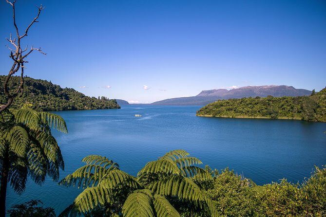 Tarawera and Rotorua Lakes Eco Tour by Boat with Guide - Practical Aspects and Value
