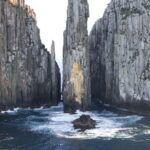 Tasman Island Cruises and Port Arthur Historic Site Day Tour from Hobart - The Itinerary in Detail
