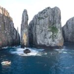 Tasman Peninsula Day Trip with Cruise & Devils from Hobart - The Scenic Drive & Morning Tea