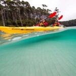 Tasman Peninsula Full-Day Sea Kayak Excursion - Why This Tour Offers Great Value
