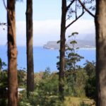 Tasman Peninsula Small-Group Guided Tour From Hobart - Who Is This Tour Best For?