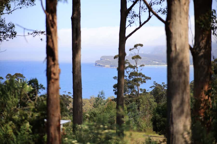 Tasman Peninsula Small-Group Guided Tour From Hobart - Who Is This Tour Best For?