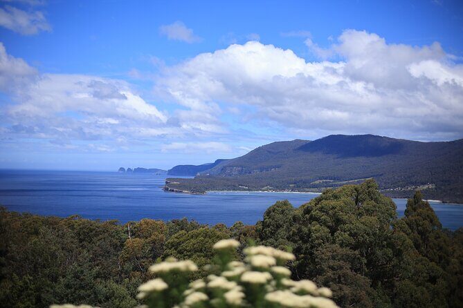 Tasman Peninsula Small-Group Guided Tour From Hobart - Exploring Tasmania’s Natural Wonders