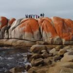 Tasmania: Wilderness and Wildlife Guided 6-Day Tour - The Sum Up