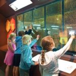 Taste Hawke's Bay - A Sweet treat food Tour - An In-Depth Look at the Experience