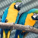 TASTE OF THE WHEATBELT private day tour to New Norcia and beyond. - What’s Included and What’s Not?