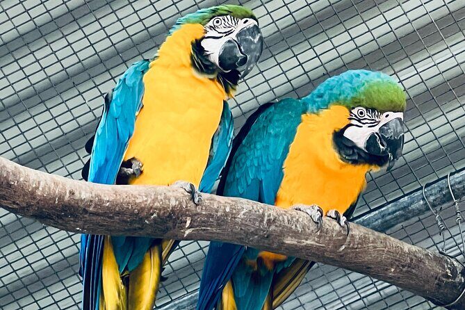 TASTE OF THE WHEATBELT private day tour to New Norcia and beyond. - What’s Included and What’s Not?