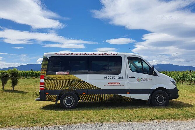 Taste the Valley Wine Tour in Marlborough with Wine Tasting - Who Should Consider This Tour?