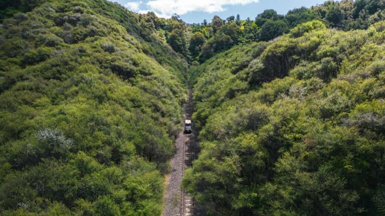 Taumarunui: Railcart and Jetboat Adventure with lunch - What Makes This Tour Stand Out?