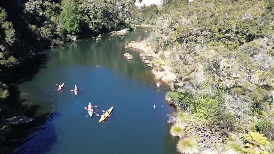 Taup: Hidden Lake Kayak Tour with Sunken Forest Views - The Itinerary Breakdown